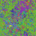 World at epoch 35000