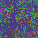 World at epoch 49000