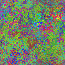 World at epoch 37000