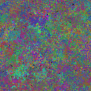 World at epoch 37000