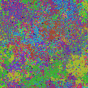 World at epoch 26000