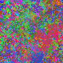 World at epoch 38000