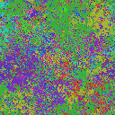 World at epoch 29000
