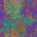 World at epoch 25000