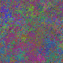 World at epoch 40000