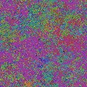 World at epoch 35000