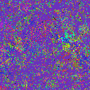 World at epoch 35000