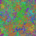 World at epoch 49000