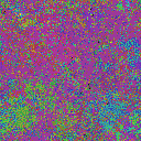 World at epoch 38000