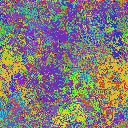 World at epoch 34000