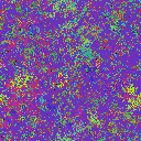 World at epoch 39000