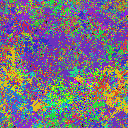 World at epoch 35000