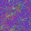 World at epoch 40000