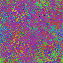 World at epoch 40000