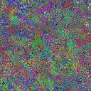 World at epoch 23000