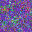 World at epoch 47000