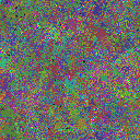 World at epoch 25000