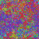 World at epoch 44000