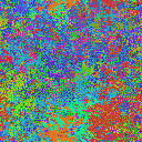 World at epoch 49000