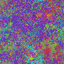 World at epoch 49000