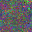 World at epoch 40000