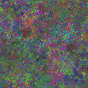 World at epoch 49000