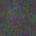 World at epoch 25000