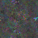 World at epoch 26000