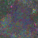 World at epoch 22000