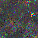World at epoch 30000