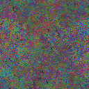 World at epoch 25000