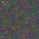 World at epoch 25000