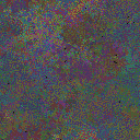 World at epoch 40000