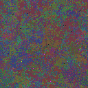 World at epoch 55000