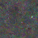 World at epoch 49000