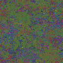 World at epoch 40000