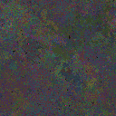 World at epoch 25000