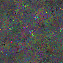 World at epoch 44000