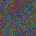 World at epoch 31000