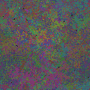 World at epoch 48000