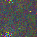 World at epoch 29000