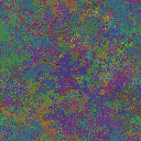 World at epoch 39000