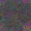 World at epoch 31000