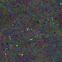 World at epoch 25000