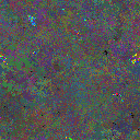 World at epoch 40000