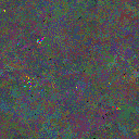 World at epoch 45000