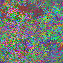 World at epoch 25000