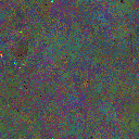 World at epoch 49000