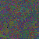 World at epoch 48000