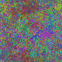 World at epoch 29000